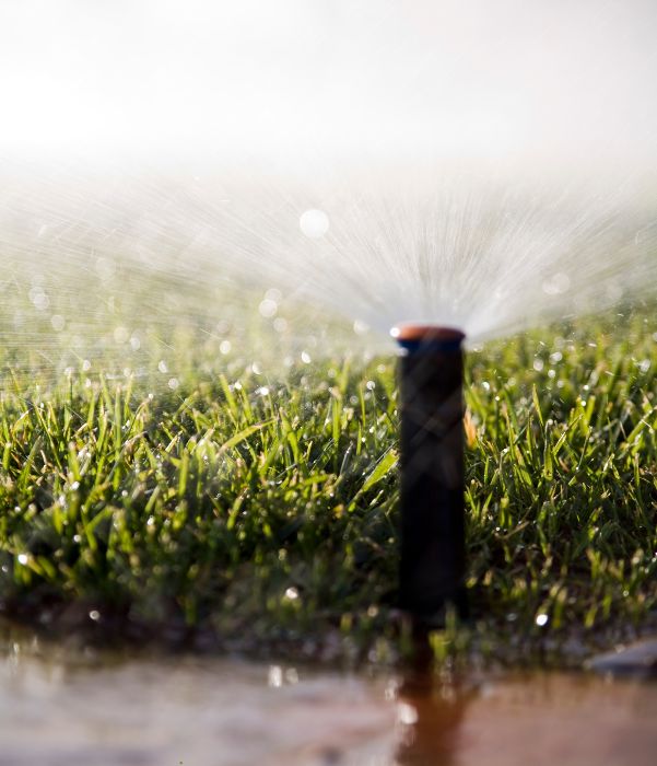 A sprinkler sprays water over a lush green lawn, creating a refreshing mist on the grass.