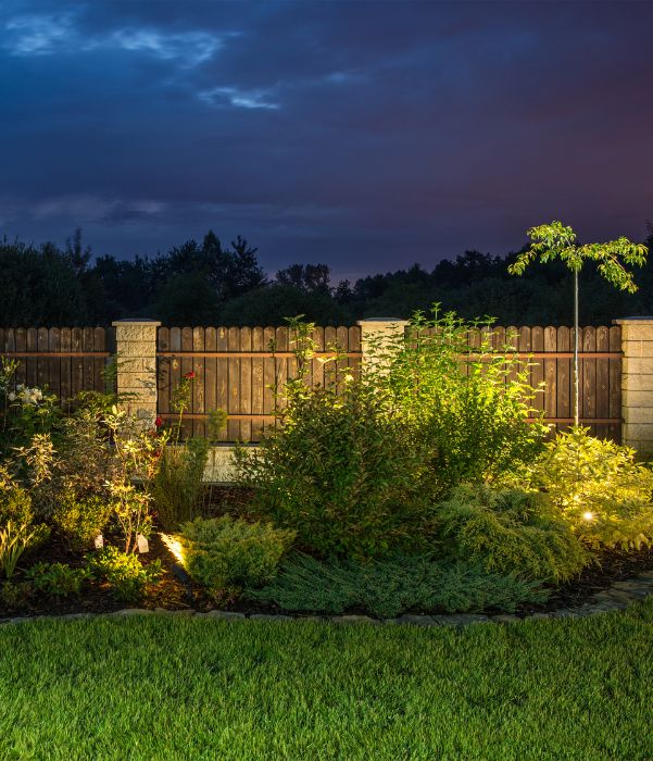 A serene garden illuminated by soft lights, showcasing various plants under the night sky.