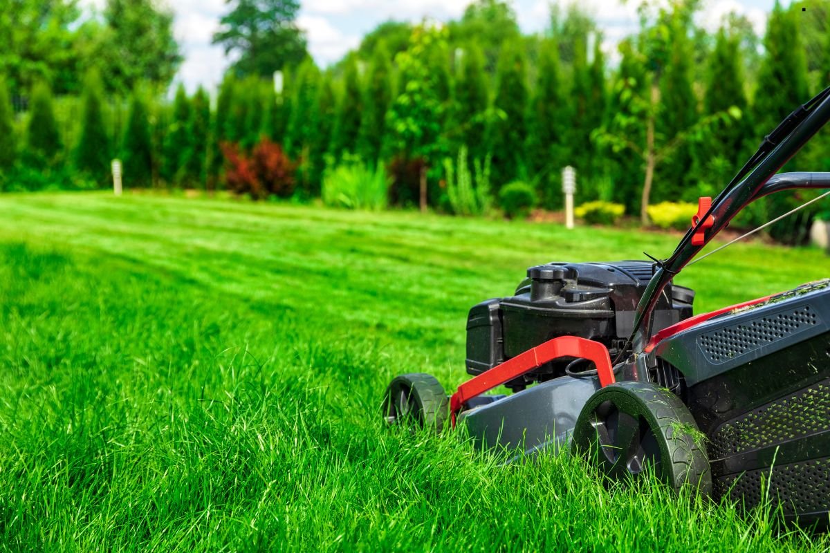 A close-up of a red and black lawnmower on lush green grass, with trees and bushes in the background under a bright sky.
