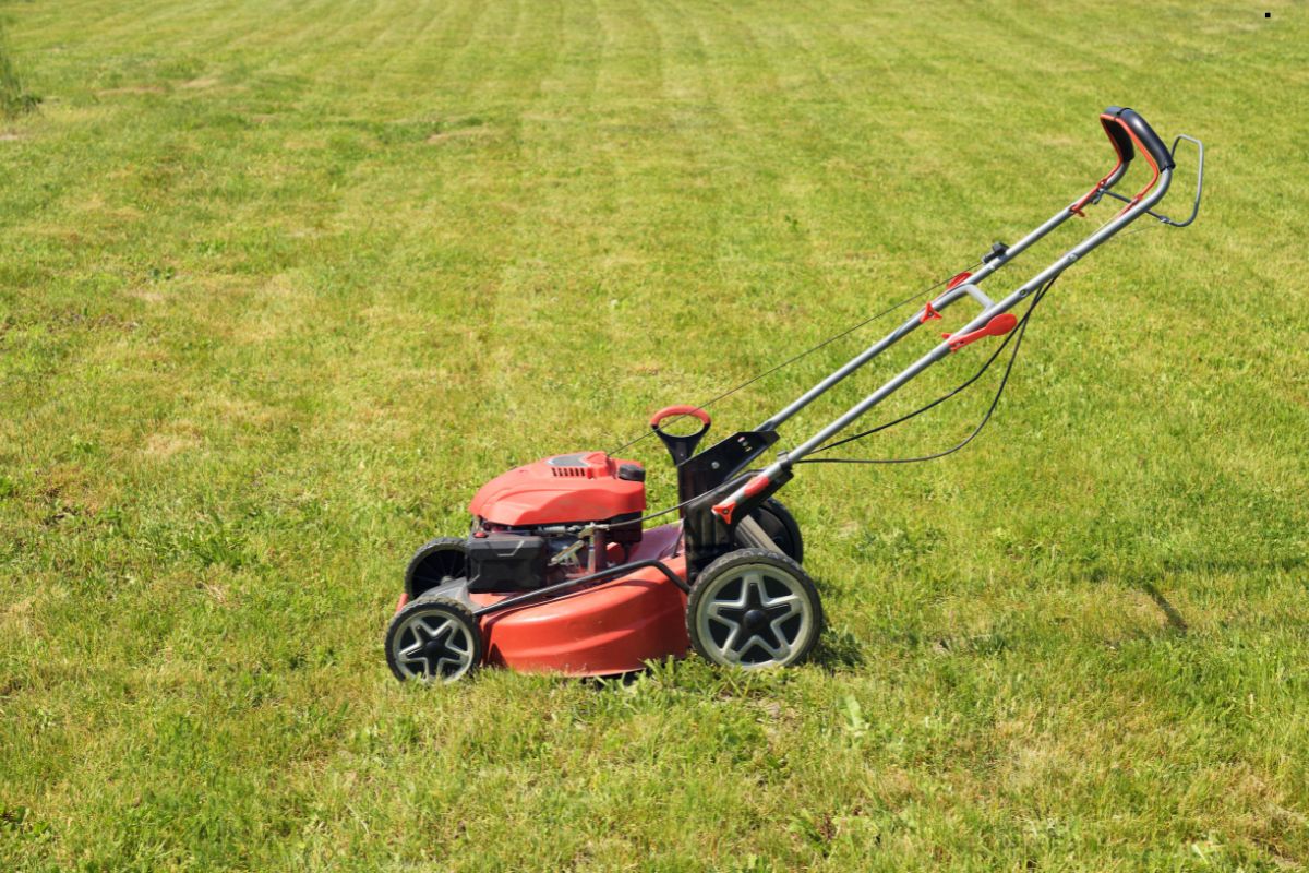 A red gas-powered lawn mower sits on a grassy field, ready for use, with neatly trimmed grass in the background.